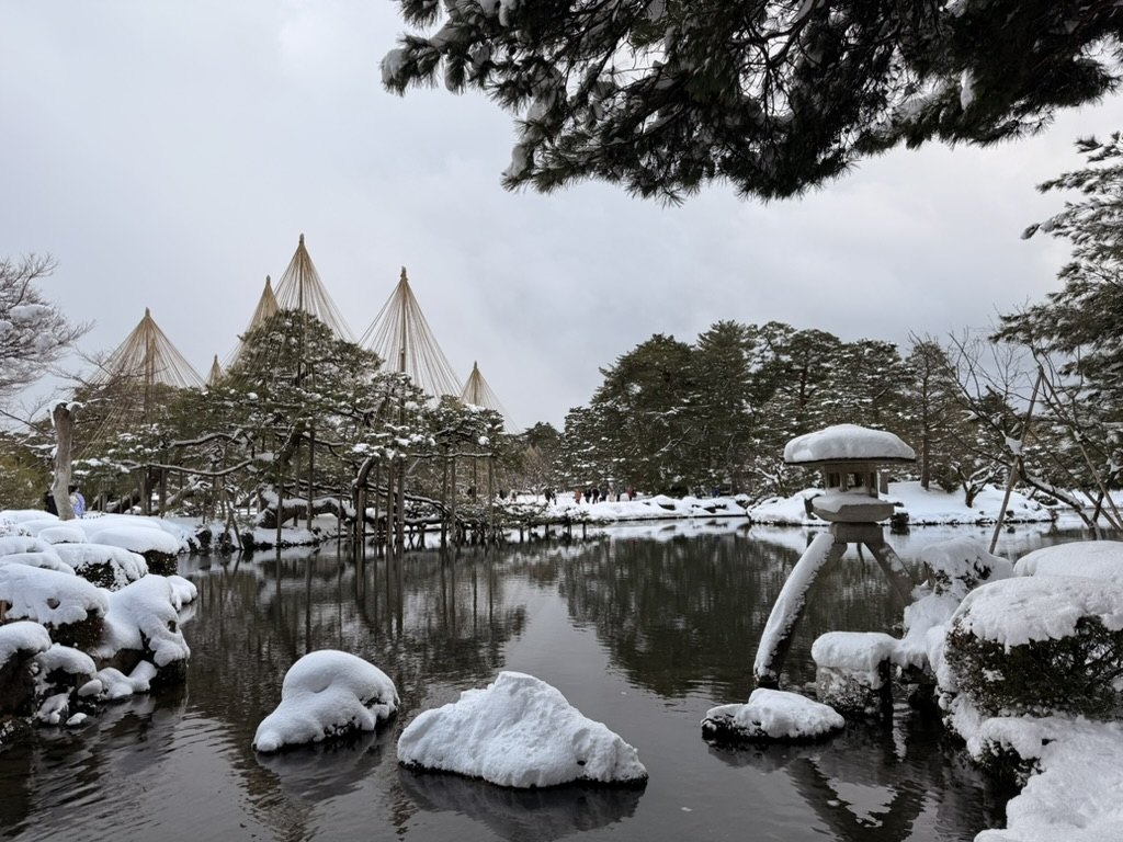 Kenrokuen under snow: the Kotoji stone lantern beside Kasumigaike pond, with rope-cone yukitsuri over the pines behind — 雪の兼六園。霞ヶ池のほとりに立つ徽軫灯籠と、背後の松にかけられた雪吊り。